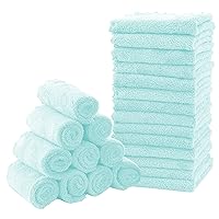 Baby Washcloths, 24 Pack - 8x8 Inches, Small Burp Cloths and Baby Wipes - Microfiber Coral Fleece Ultra Absorbent and Soft for Newborn, Infant and Toddlers - Frozen Blue