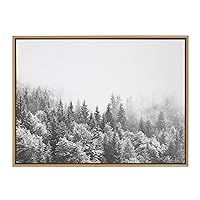 Sylvie Forest On A Foggy Day BW Framed Canvas Wall Art by The Creative Bunch Studio, 28x38 Natural, Decorative Nature Art for Wall