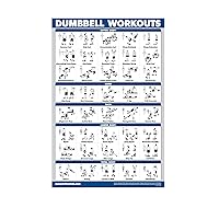 Dumbbell Workout Exercise Poster - Free Weight Body Building Guide | Home Gym Chart - LAMINATED, 18