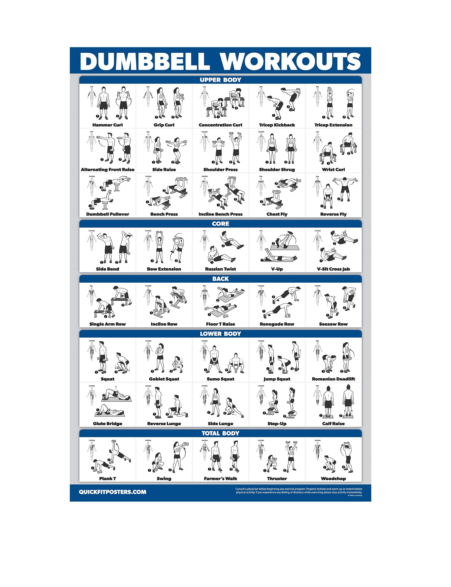 Palace Learning Dumbbell Workout Exercise Poster - Free Weight Body Building Guide | Home Gym Chart - LAMINATED, 18
