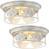 2 Pack Flush Mount Ceiling Light，Industrial Farmhouse Metal Cage Ceiling Light Fixture, Wihte Erasing Gold Ceiling Light Fixtures Ceiling Lamp Fixture for Entryway Hallway Kitchen