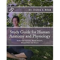 Study Guide for Human Anatomy and Physiology: Endocrine System, Blood Vessels, Blood Flow and Heart