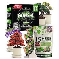 Premium Bonsai Tree Kit with 15 Culinary Herb Seeds - Ideal Bundle for Moms, Beginners & Plant Enthusiasts