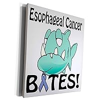 3dRose Esophageal Cancer Bites Awareness Ribbon Cause... - Museum Grade Canvas Wrap (cw_115501_1)