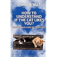 HOW TO UNDERSTAND IF THE CAT LIKES YOU? HOW TO TAKE CARE OF YOUR CAT?