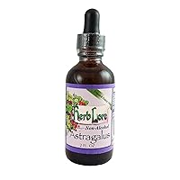 Herb Lore Astragalus Tincture - 2 fl oz - Alcohol Free - Liquid Astragalus Membranaceus Root Extract Drops for Kids and Adults - Herbal Immune System Support Supplement