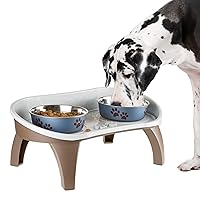 Dog Bowl Stand - 8.5-Inch-Tall Feeding Tray for Dogs and Cats - Dog Bowl Stands for Large Dogs with Splash Guard and Non-Skid Feet by Petmaker (Brown)