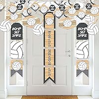 Big Dot of Happiness Bump, Set, Spike - Volleyball - Birthday Party Decoration Swirls and Indoor Door Decor Bundle