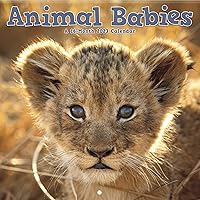 2023 Animal Babies Wall Calendar