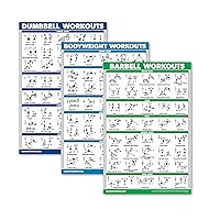 QuickFit 3 Pack - Dumbbell Workouts + Bodyweight Exercises + Barbell Exercises - Set of 3 Training Charts Laminated 18