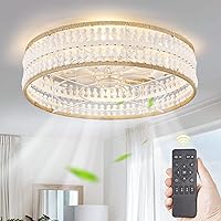 LEDIARY Boho Ceiling Fans with Lights 20'' Flush Mount Ceiling Fan with Remote Control,Bohemian Caged Low Profile Ceiling Fan with 3 Color LED Light for Bedroom Living Room Kitchen