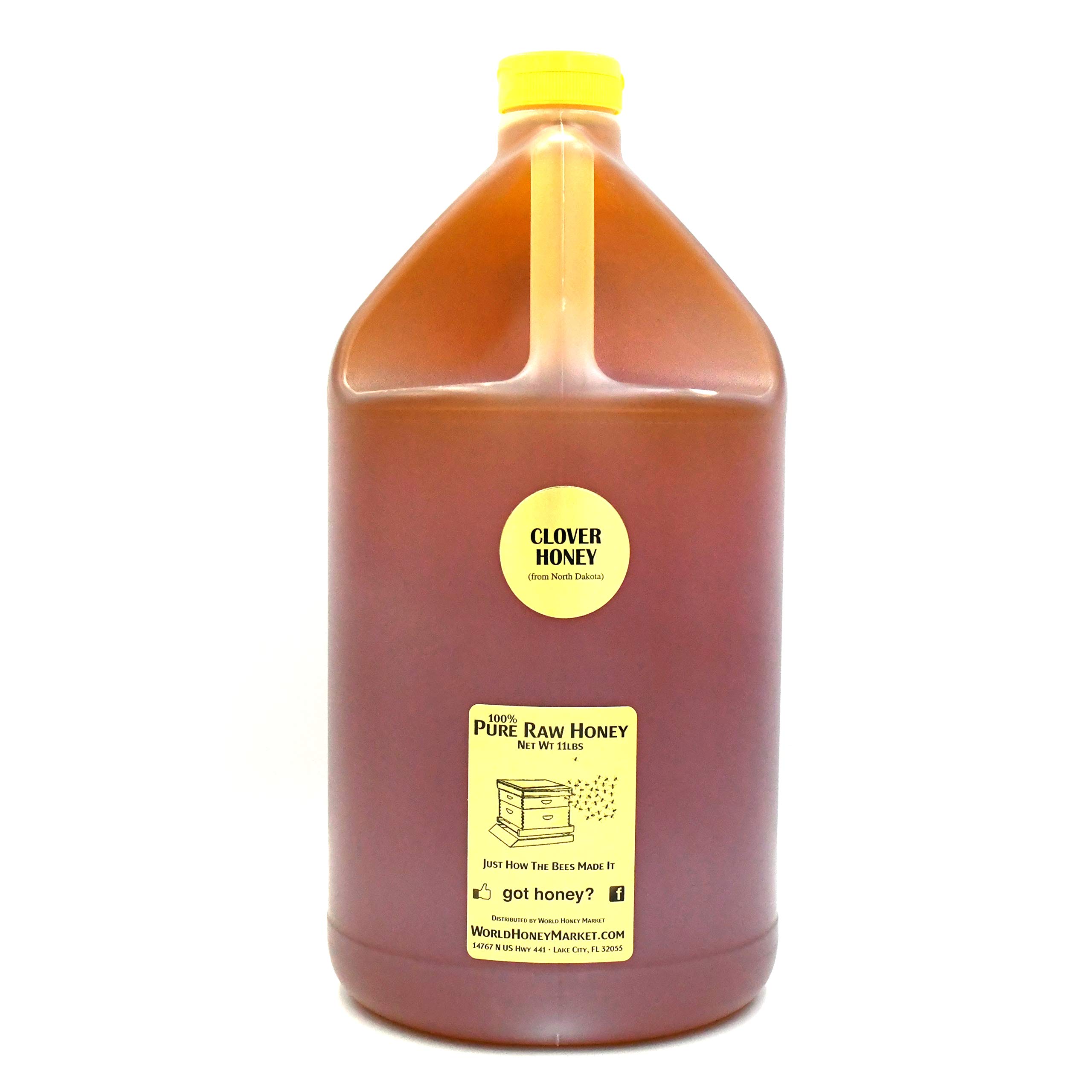 World Honey Market 100% Raw Clover Honey, Natural Sweetener, Unfiltered, Pure - 1 Gal.