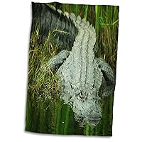 3D Rose Grow Them Big Here in Florida an Alligator TWL_62370_1 Towel, 15