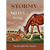 Stormy, Misty's Foal Stormy, Misty's Foal Paperback Kindle Audible Audiobook Hardcover Mass Market Paperback MP3 CD Library Binding