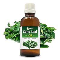 Curry Leaf Oil (Murraya koenigz) 100% Pure & Natural - Undiluted Uncut Essential Oil - Premium Aromatherapy Oil (50ml)