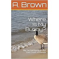 Where Is My Bunny?: My fun backyard on the East Coast of Florida