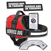 Service Dog Vest for Large Dogs - ADA Cards - 4 Service Dog Vest and in Training Patches - Industrial Puppy Servie Dog Accessories Bundle Red Large Size