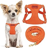 No Pull Puppy Harness,Soft Adjustable Dog Leash Dog Harness Vest Dog Leash Set No Choke Escape Proof (XXS, Orange)