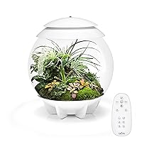 AIR 30, Fully Automated Terrarium for Arid, Temperate, or Tropical Plants, White
