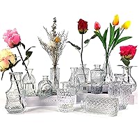 Vintage Bud Vases in Bulk, 10PCS Small Vases for Flowers Centerpiece Assorted Bud Vases Beautiful for Decorations Clear Bud Vases for Tables Floral Arrangements Wedding Home Décor Great Gifts