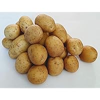 Pesticide-Free SC Farm Fresh Yukon Gold Potatoes (5lbs)