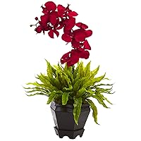 Nearly Natural 1429-RD Birds Nest Fern & Orchid Silk Arrangement with Wood Planter, I