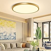 12Inch LED Ceiling Light Fixture Flush Mount, 24W(240W Equivalent), 3200LM, 3000K Warm White, IP40, Flat Modern Round Ceiling Light for Bedrooms, Living Rooms, Bathrooms, Stairwells, etc.(Gold)