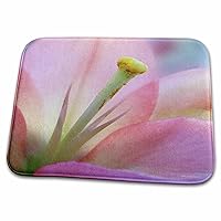 3dRose Doreen Erhardt Floral - Pink Lily - Dish Drying Mats (ddm-15439-1)