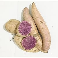 Fresh Purple Sweet Potatoes-2LBS