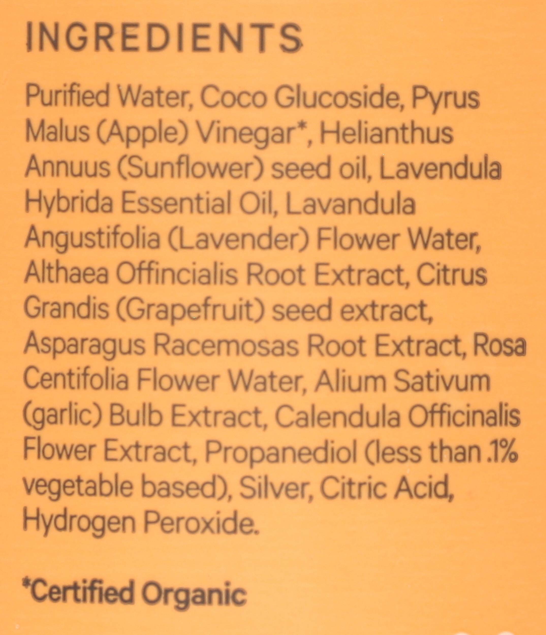 The Honey Pot | Normal Foaming Wash | Feminine Cleanse | 99% Natural | Herbal Formula | NO Artificial Fragrance - Parabens - Carcinogens - Sulfates - Dioxides | 5.5 Fl Oz
