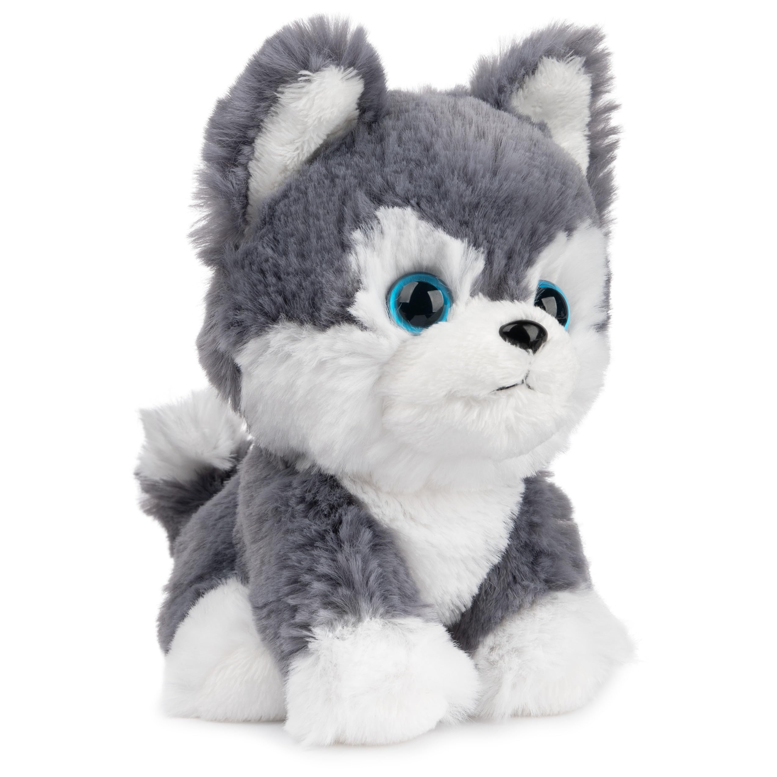 GUND Boo, The World's Cutest Dog, Boo & Friends Collection