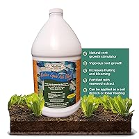 Medina Liquid Fish Blend Quart - 2-3-2 Fertilizer for GRO, Bloom, and Lush Gardens - Seaweed Enriched Plant Food for Vibrant Growth and Blooms - Available in 1 Gallon