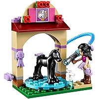LEGO Friends - Foal's Washing Station