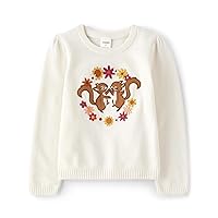 Gymboree Girls' and Toddler Long Sleeve Sweaters Seasonal