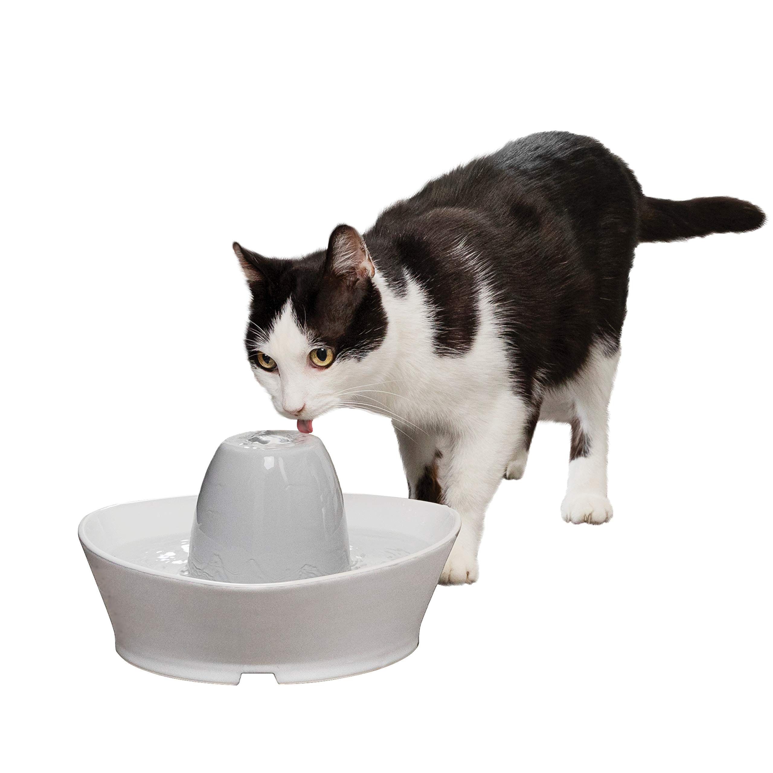 PetSafe Creekside Ceramic Pet Fountain – for Cats and Small Dogs – 60 Oz Water Capacity – Whisper-Quiet Water Flow – Great for Shy or Timid Pets – ...