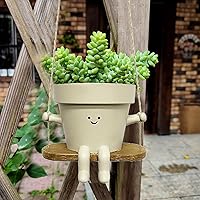 Hanging Plant Pot, 4inch Cute Face Swinging Plant Pot with Rope, Resin Indoor Hanging Planter, Small Succulent Pots for Indoor Outdoor Garden Decorations