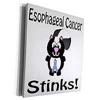 3dRose Esophageal Cancer Stinks Skunk Awareness Ribbon... - Museum Grade Canvas Wrap (cw_115503_1)