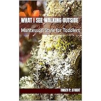 What I See Walking Outside: Montessori Style for Toddlers