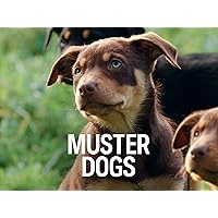 Muster Dogs, Season 1