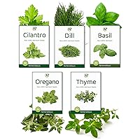 Most Popular Herb Seeds Variety Pack - USA Grown, 100% Non-GMO and Heirloom Seeds for Planting Indoors, Outdoors and Hydroponically - Including Basil, Cilantro, Thyme, Oregano and Dill