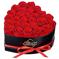 27-Piece Forever Flowers Heart Shape Box - Preserved Roses, Immortal Roses That Last A Year - Eternal Rose Preserved Flowers for Delivery Prime Mothers Day & Valentines Day - Red