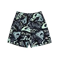 Quiksilver Boys Next Gen Volley 12 Boardshort Swim Trunk