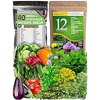 Survival Vegetable and Culinary Medicinal Herb Seeds Pack for Planting Indoors and Outdoors - 100% Heirloom USA Grown Non GMO - Total 11200+ Seeds - Good for Hydroponic Garden