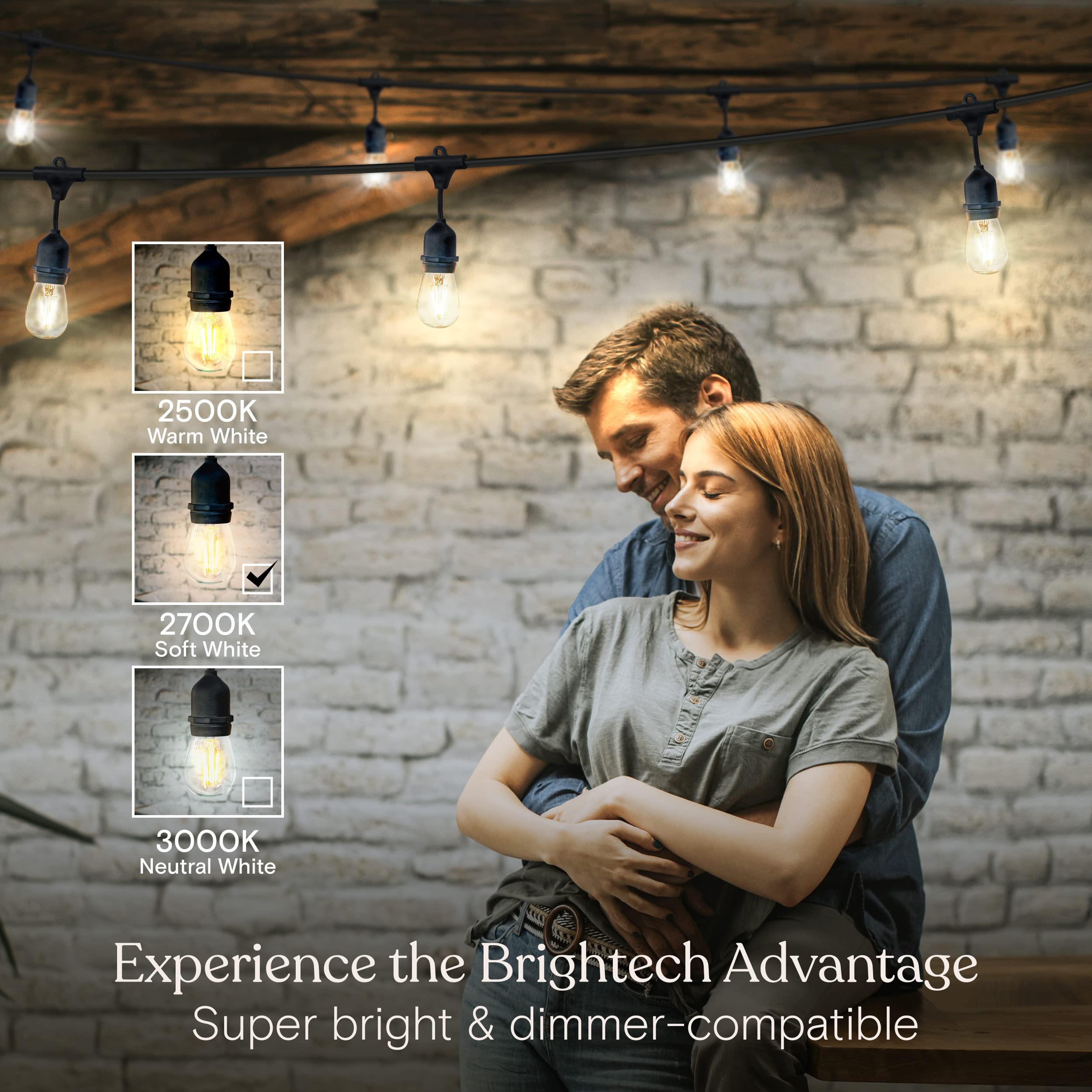 Brightech Ambience Pro - Waterproof LED Outdoor String Lights - Hanging, Dimmable 2W Vintage Edison Bulbs - 48 Ft Commercial Grade Patio Lights Create Cafe Ambience in Your Backyard