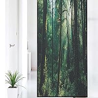 Nature Pattern Window Privacy Film,Sunset in Woods Sun Beaming Through Forest Trees Wilderness Scenery Frosted Window Film,for Home Office UV Protection,35.4