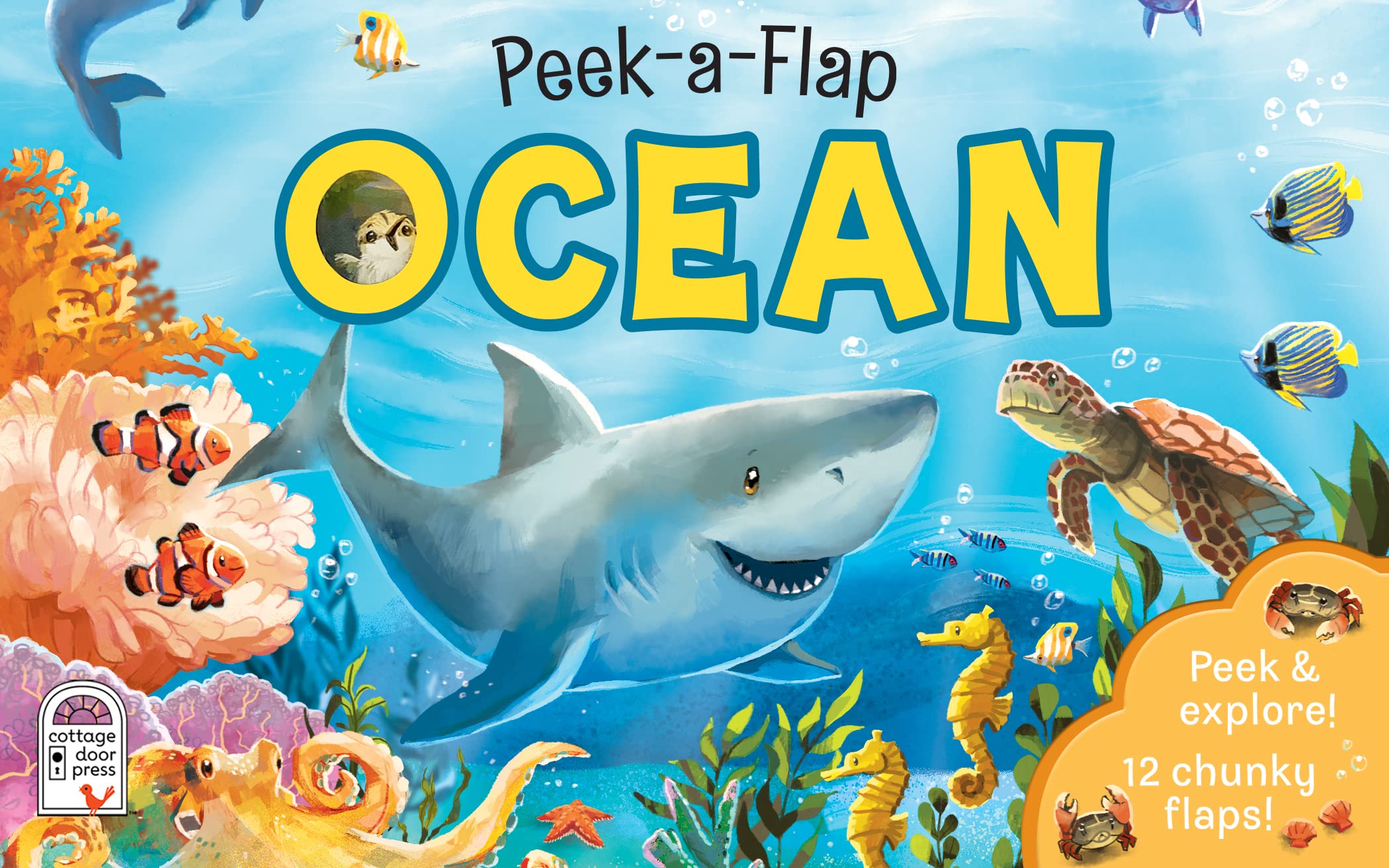Peek-a-Flap Ocean Children's Lift-a-Flap Board Book for Children Learning about the Sea and Water Animals, Ages 2-5