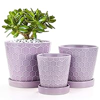 Succulent Planter –4”+5”+6” Ceramic Flower Pot with Drainage Hole and Ceramic Tray - Gardening Home Desktop Office Windowsill Decoration Gift- Set 3 - Plants NOT Included (Purple)