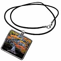 3dRose Bald cypress and Spanish moss in autumn color - Necklace With Pendant (ncl-380466)