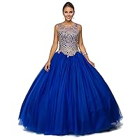 Blue Embroidered Quinceanera Dress- Ladies Wedding Evening Party Pretty Ball Gown Princess Dresses - Long & Sleeveless UK