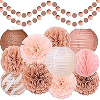 Rose Gold Party Decorations, Tissue Pom Poms, Paper Lanterns, Honeycomb Ball, Paper Circle Dots Garlands, 13 Pcs Hanging Party Supply Set for Wedding Bridal Shower Baby Shower Birthday - Rose Gold